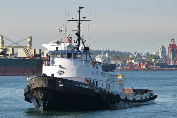 El Lobo Grande II