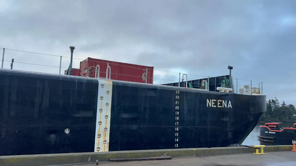 Ne'ena ogrinial