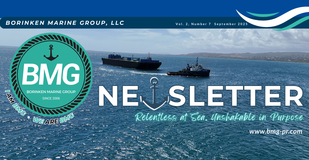BMG Newsletter – VOL.2 Num.7